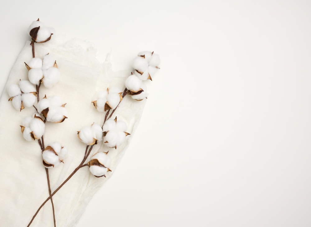 piece white gauze sprig with white cotton flowers table top view copy space